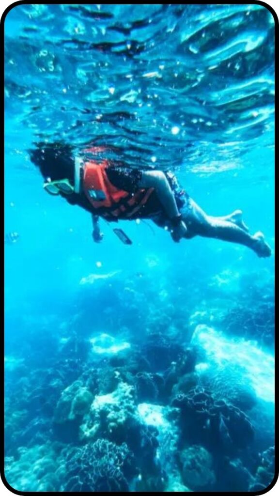 Snorkeling Excursion in South Padre Island